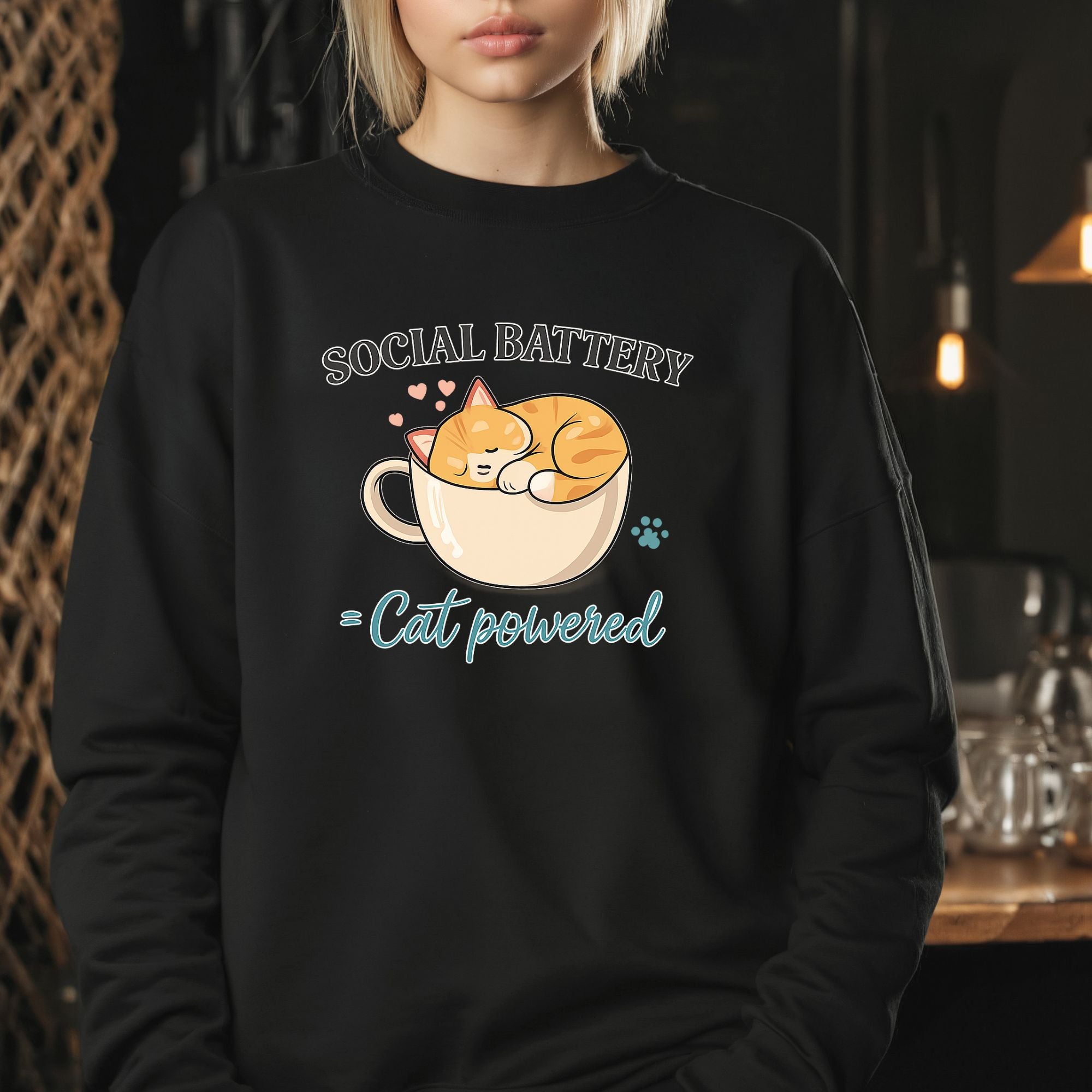 Social Battery Cat Sweatshirt – Funny Introvert Cozy Pullover