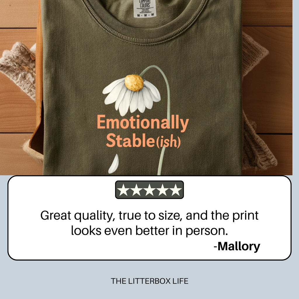 Emotionally Stable-ish Daisy Shirt – Soft Neutral Aesthetic Tee, Sarcastic Comfort Colors T-Shirt