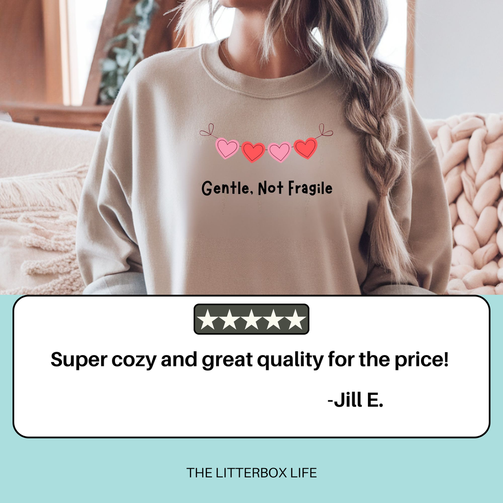 Gentle Not Fragile | Minimal Heart Mental Health Sweatshirt
