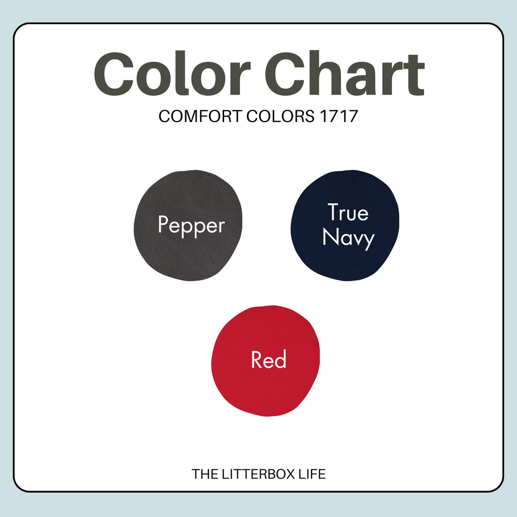 Since 1776 America™ Comfort Colors T-Shirt